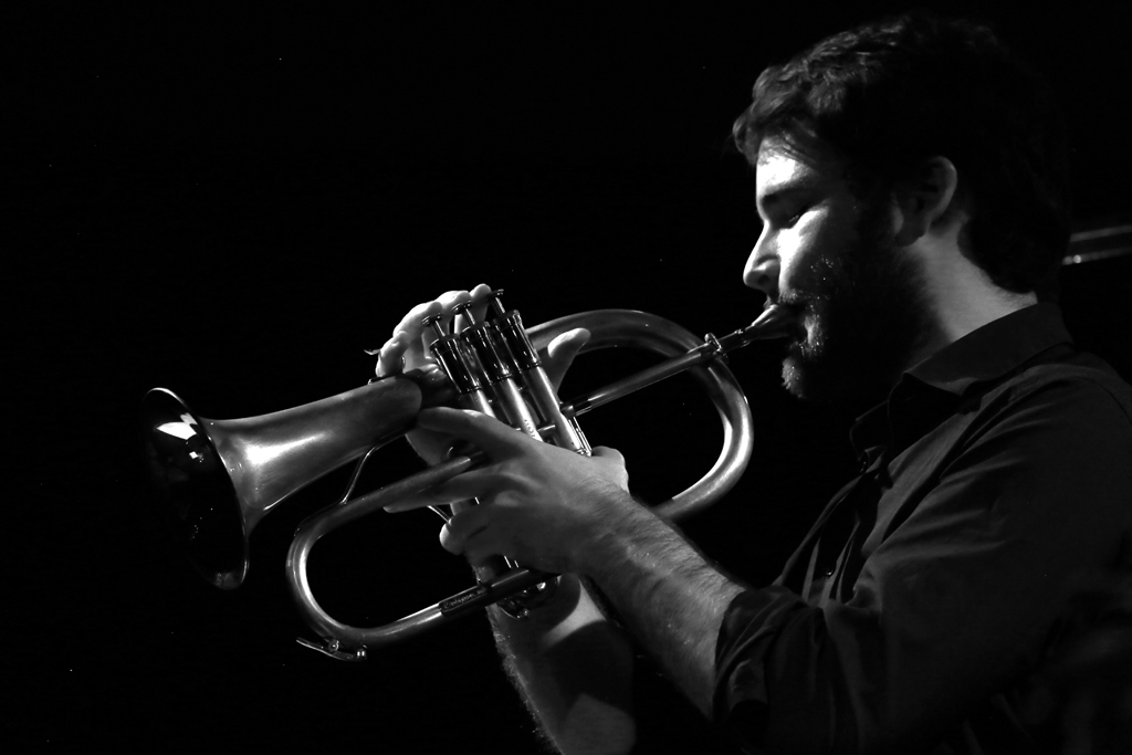 David enhco quartet