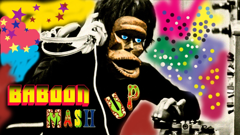 DJ Baboon Mash Up