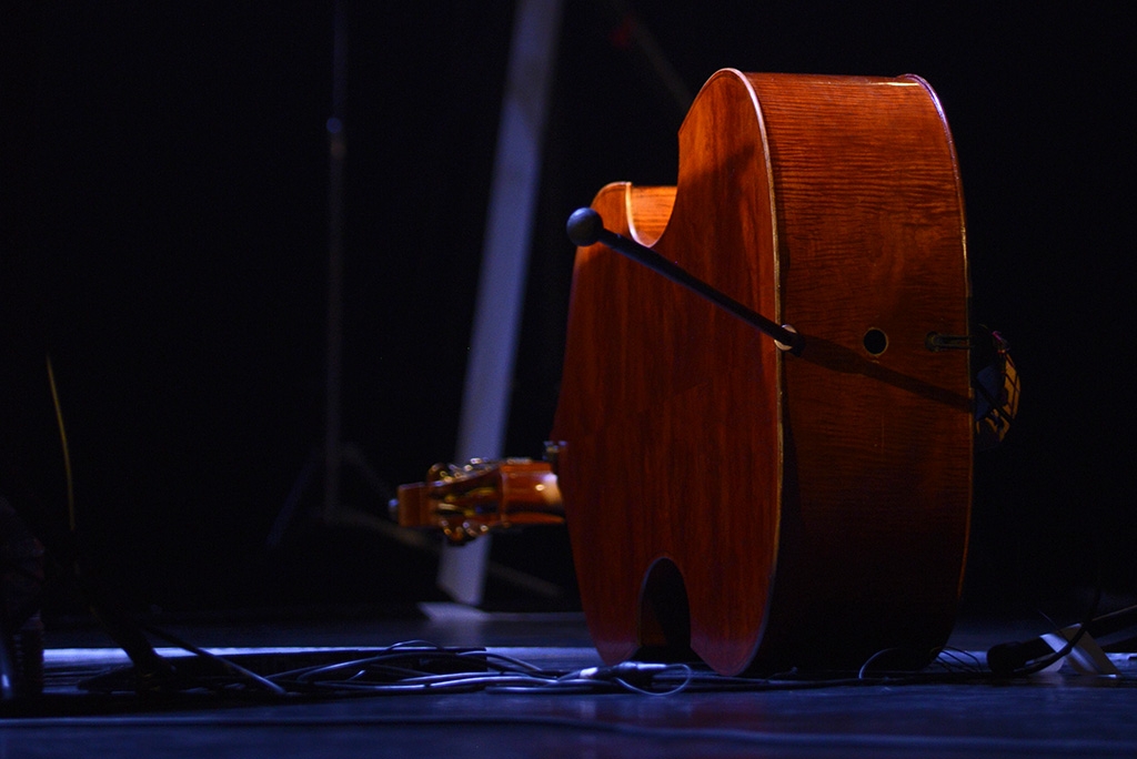 Renaud Garcia Fons - Théâtre du briançonnais - 24 janvier 2017 