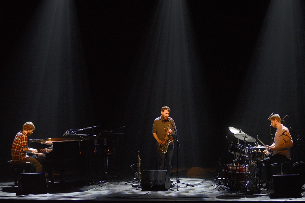 Mammal hands - Théâtre du briançonnais - 21 janvier 2017